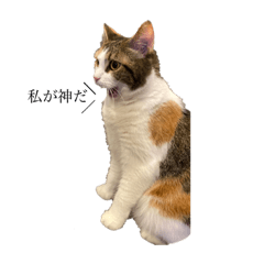 [LINEスタンプ] 私が神だスタンプ