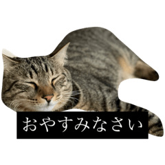 [LINEスタンプ] AN-PONスタンプ