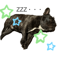 [LINEスタンプ] フレンチブルドッグ おはぎ6