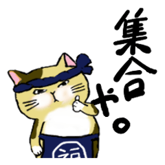 [LINEスタンプ] 大阪弁猫