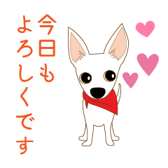 [LINEスタンプ] 3匹のチワワたち