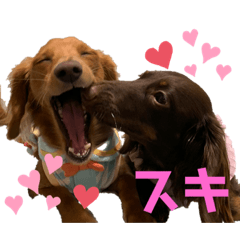 [LINEスタンプ] うにちゃんかるびちゃん