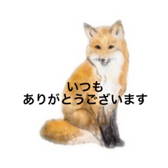 [LINEスタンプ] キツネさんのお仕事言葉