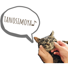 [LINEスタンプ] CONYAN.vo2