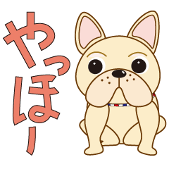 [LINEスタンプ] まんまるフレンチブルドッグクリーム