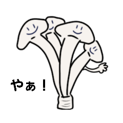 [LINEスタンプ] 可愛いえのき茸