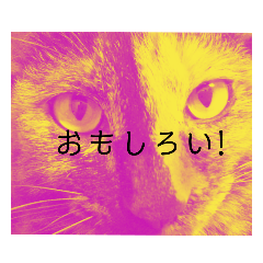 [LINEスタンプ] サビ猫ななち怖顔スタンプ第2弾