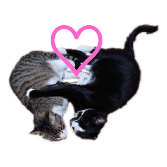 [LINEスタンプ] バロンさんとエマさん