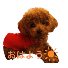 [LINEスタンプ] ニコちゃん0