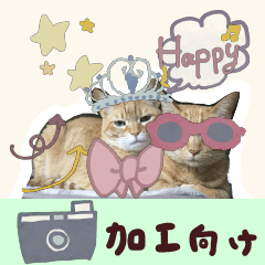 [LINEスタンプ] 【加工向け】飾りスタンプ