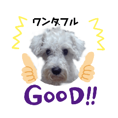 [LINEスタンプ] シロ シュナ