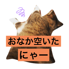 [LINEスタンプ] ニャアのスタンプB