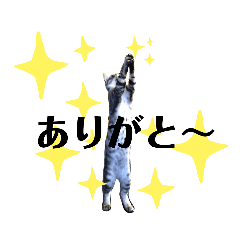 [LINEスタンプ] サバトラのうる