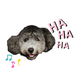 [LINEスタンプ] neu＆andy2