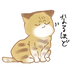 [LINEスタンプ] 代理茶トラちゃん