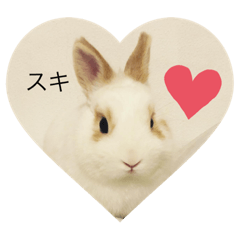 [LINEスタンプ] うさぎのふう太