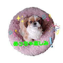 [LINEスタンプ] ももの日常 3