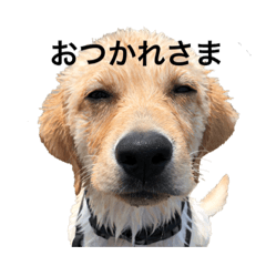 [LINEスタンプ] 林マックとナル