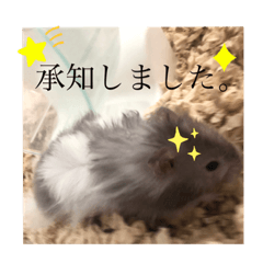 [LINEスタンプ] 我が家の可愛い大家族 (第5弾)敬語など