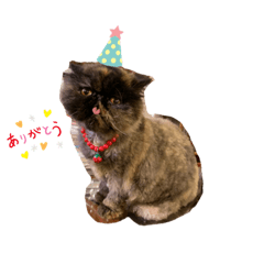 [LINEスタンプ] ハナ先輩1