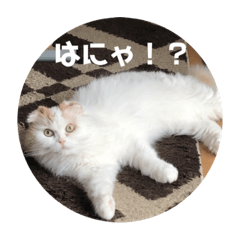 [LINEスタンプ] ソラジロウver2