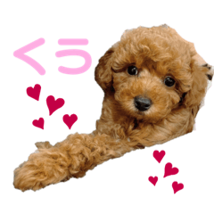 [LINEスタンプ] くうのスタンプ1.