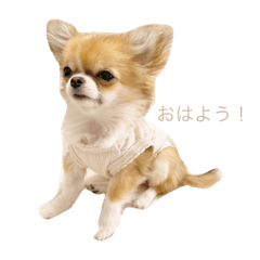 [LINEスタンプ] もぷスタンプ2