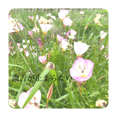 [LINEスタンプ] 諭吉が止まらない