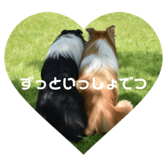 [LINEスタンプ] roughcollie*s