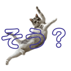 [LINEスタンプ] ぺぺさんの喜怒哀楽と焦り
