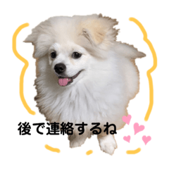 [LINEスタンプ] エーススタンプ2