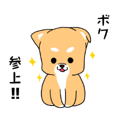 [LINEスタンプ] ゴン太犬