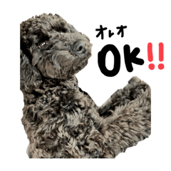 [LINEスタンプ] OREOのにちじょう