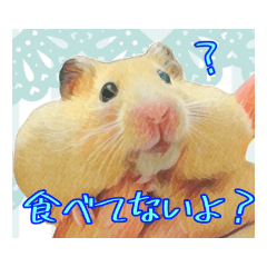 [LINEスタンプ] はむはむ日和〜ダイエット編〜