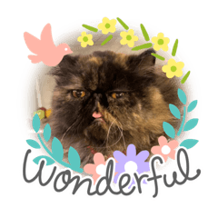[LINEスタンプ] ハナ先輩 3