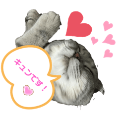 [LINEスタンプ] ぶんぶんももっち2