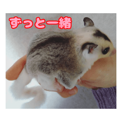 [LINEスタンプ] うちの子達の日常1