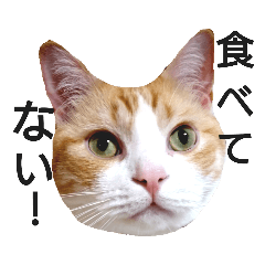 [LINEスタンプ] ゴロー「空腹の巻」