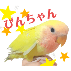 [LINEスタンプ] ぴんぴんすたんぷ