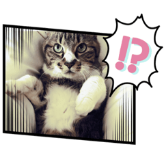 [LINEスタンプ] ニャアのスタンプA