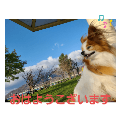 [LINEスタンプ] ぱぴぱぴパピヨン23