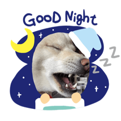 [LINEスタンプ] 白柴のチロル2