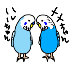 [LINEスタンプ] インコのハル＆メメ