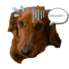 [LINEスタンプ] 愉快な家の仲間たちスタンプ