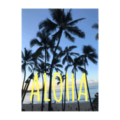 [LINEスタンプ] Hawaiian Messages.