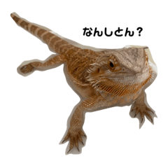 [LINEスタンプ] ひさと動物たち。
