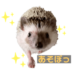 [LINEスタンプ] はりねずみで行こう。
