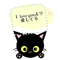 [LINEスタンプ] かわいい黒猫のメッセージスタンプ