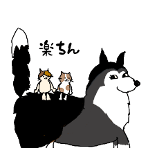 [LINEスタンプ] 仲良しな犬と猫