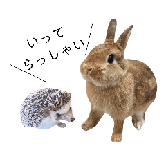 [LINEスタンプ] うさぎとハリネズミ★ひめぽたスタンプ②